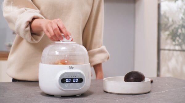 Nồi hầm cách thuỷ (1.0L) Fatzbaby - STEW 3 - FB9111ZT